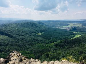 Céges rendezvények - gyalog és kerékpártúrák